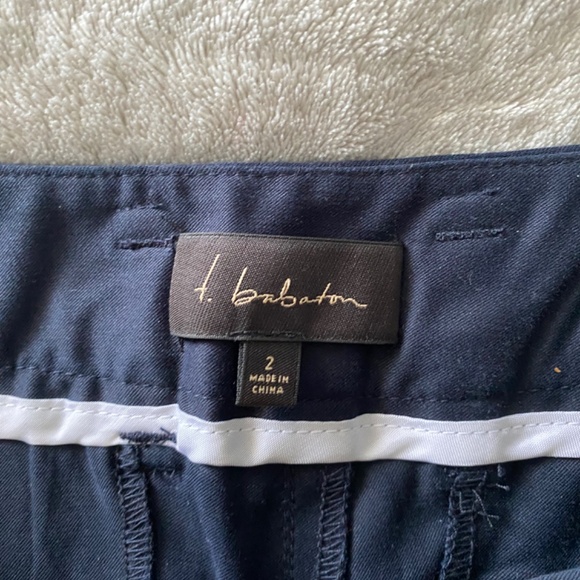 Babaton by Aritzia women’s shorts size 2 - Picture 2 of 4